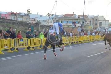 Carreras de caballo de San Gregorio Taumaturgo 2018